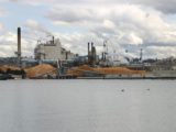 Pulp mill prepares for expansion on Tideflats