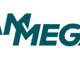 Ammeraal Beltech and Megadyne Group announce their new merged name AMMEGA
