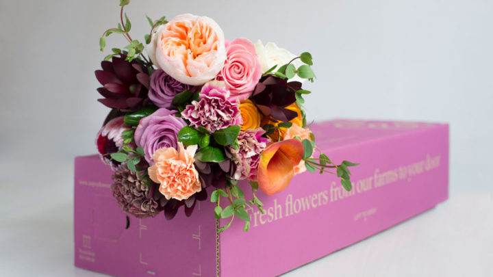 Smurfit Kappa’s eCommerce expertise leads to impressive sales growth for flower provider
