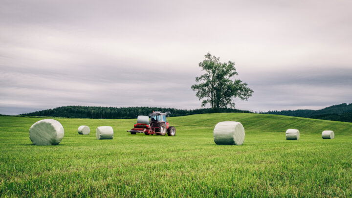 Silage film for bale wrap: Is cast the new blown?