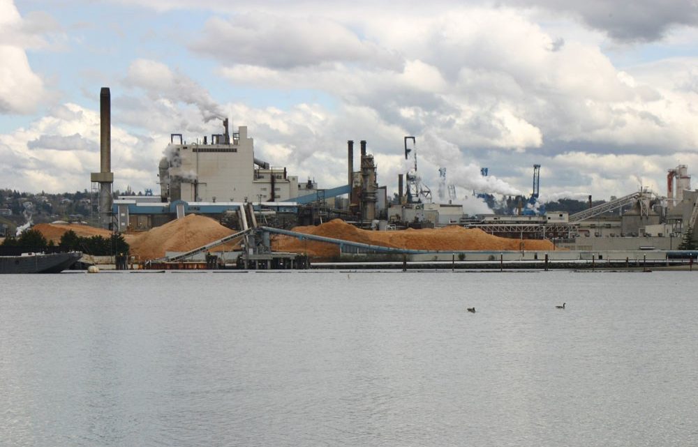 Pulp mill prepares for expansion on Tideflats Pulp mill prepares for expansion on Tideflats