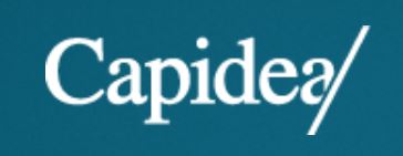 Private equity fund Capidea invests in FlexoPrint Private equity fund Capidea invests in FlexoPrint