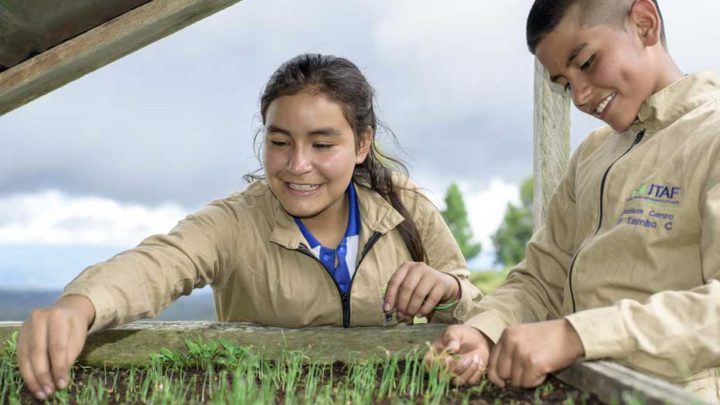 Smurfit Kappa Listed on Ethibel Sustainability Index for 5th Consecutive Year