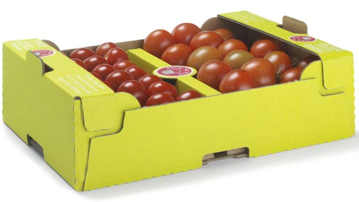 Smurfit Kappa strengthens its presence in Western France with Caradec Box Plant acquisition