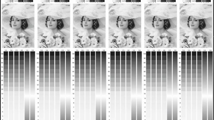 Optimizing Relief Height: First-Place 2018 FFTA Rossini Scholarship Recipient’s Research on FIRST Relief Guidance