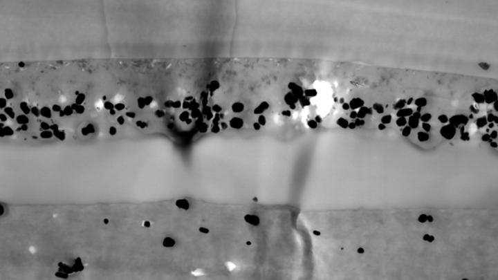 Biopolymer-based multilayer films with natural coatings for food packaging