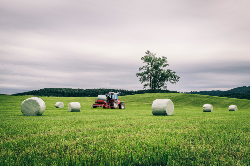 Silage film for bale wrap: Is cast the new blown? | Buzz Digital Marketing