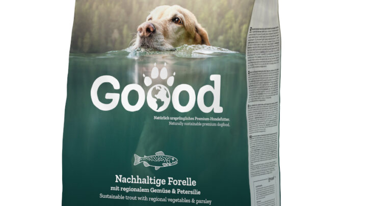 Mondi honoured with Hungaropack award for sustainable paper-based FlexiBag