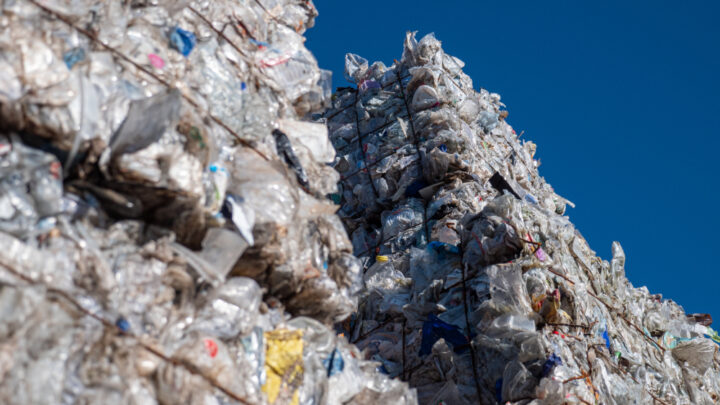 Recycling pioneer Faerch establishes closed loop for PET food packaging