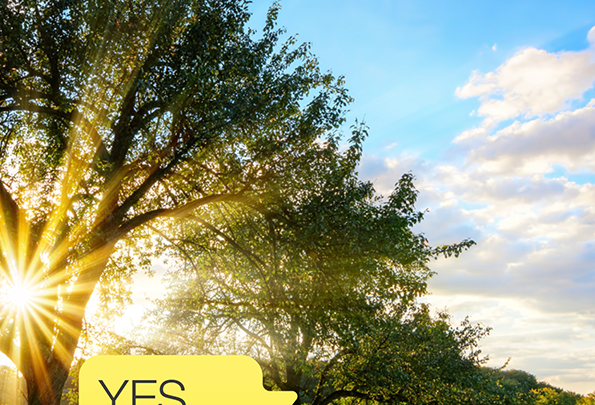 Sustainability report paves the way for a successful future