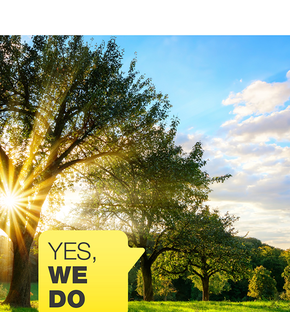 Sustainability report paves the way for a successful future Sustainability report paves the way for a successful future