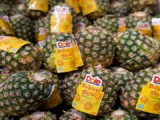 Dole expands use of recyclable Oxifilm in Central America
