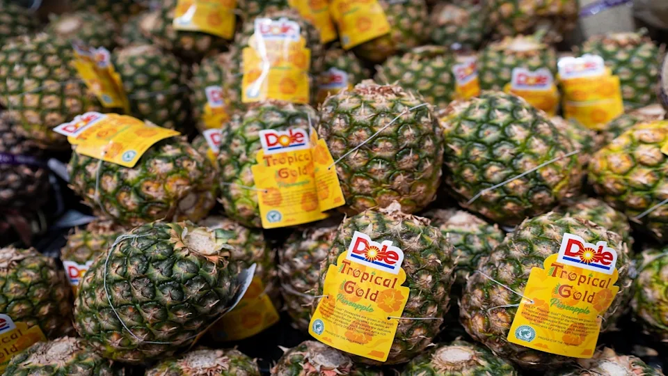 Dole expands use of recyclable Oxifilm in Central America